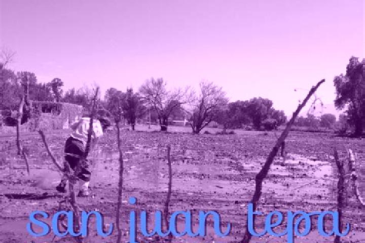 Escorts San Juan Tepa, Mexico — Local Companions