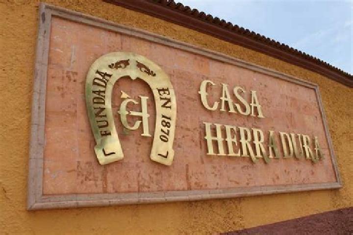 Escorts San Juan Tomasquillo Herradura, Mexico — Local Companions