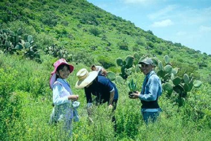 Escorts San Juan Zitlaltepec, Mexico — Local Companions