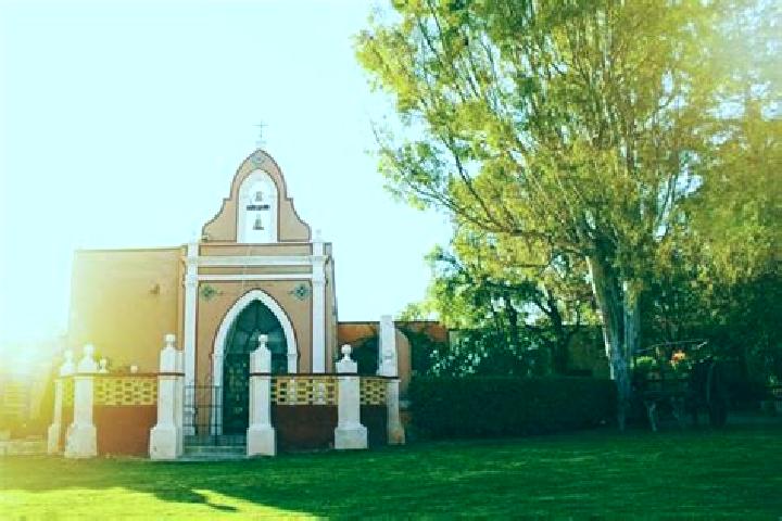 Escorts San Luis de Letras, Mexico — Local Companions