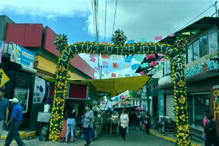 Escorts San Martin Ahuatepec, Mexico — Local Companions
