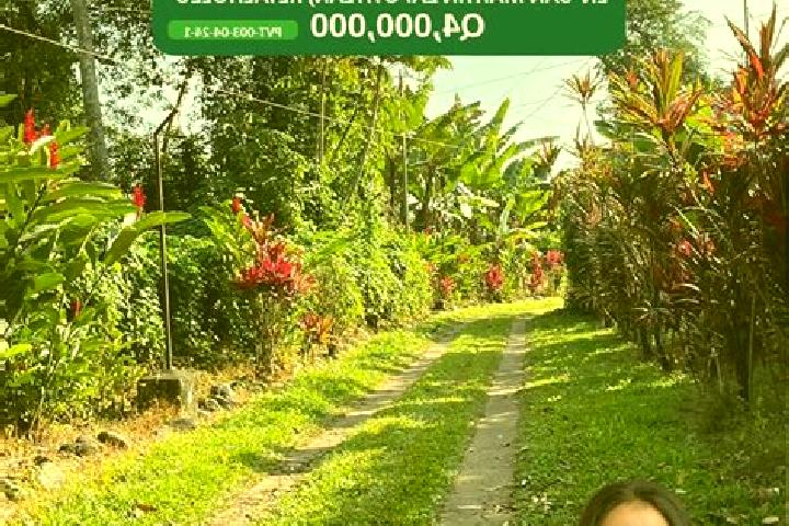 Escorts San Martin Zapotitlan, Guatemala — Local Companions