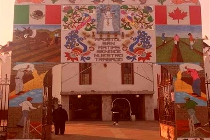 Escorts San Matias Cuijingo, Mexico — Local Companions