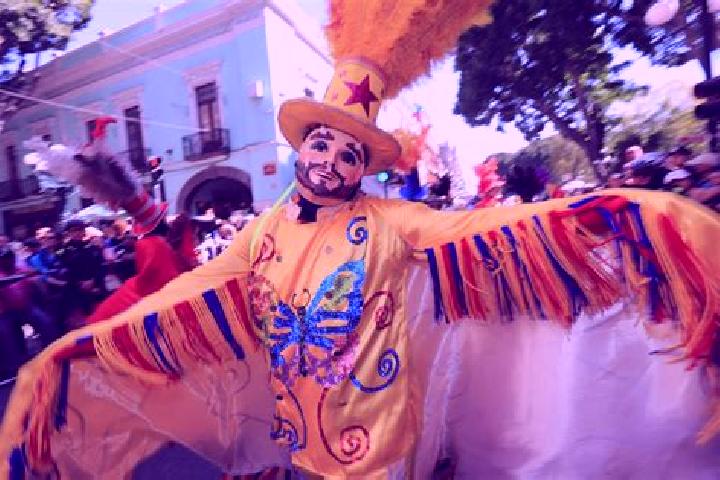 Escorts San Miguel Canoa, Mexico — Local Companions