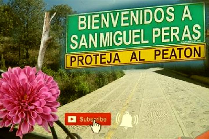 Escorts San Miguel Peras, Mexico — Local Companions