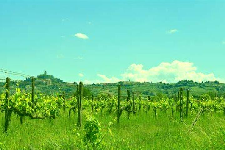 Escorts San Miniato Basso, Italy — Local Companions