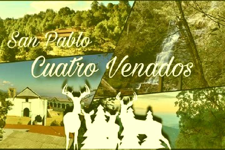 Escorts San Pablo Cuatro Venados, Mexico — Local Companions