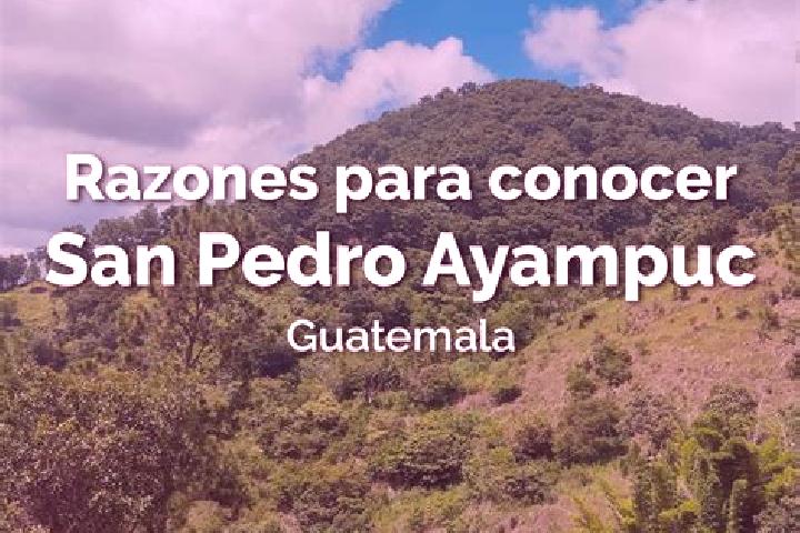 Escorts San Pedro Ayampuc, Guatemala — Local Companions