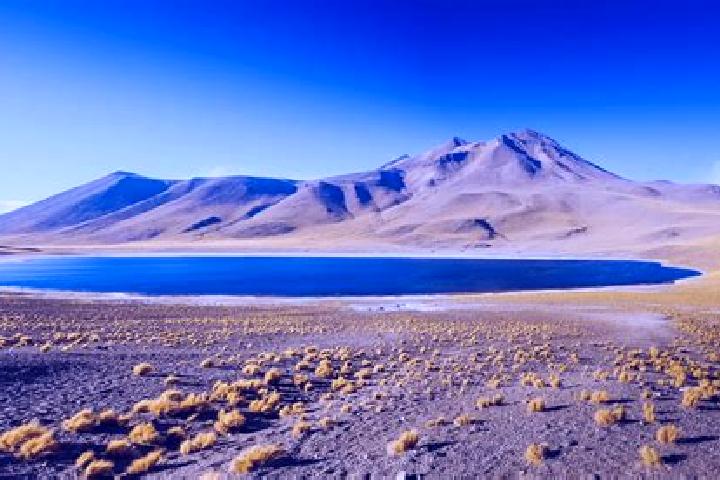 Escorts San Pedro de Atacama, Chile — Local Companions