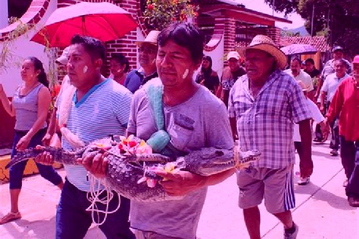 Escorts San Pedro Huamelula, Mexico — Local Companions