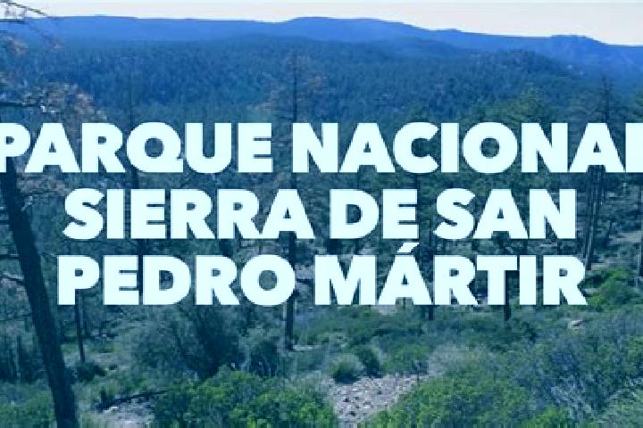 Escorts San Pedro Martir, Mexico — Local Companions