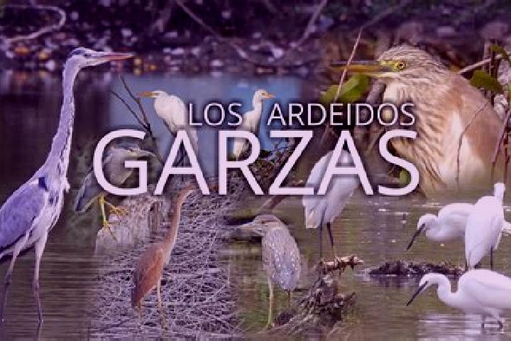 Escorts San Pedro y las Garzas, Mexico — Local Companions