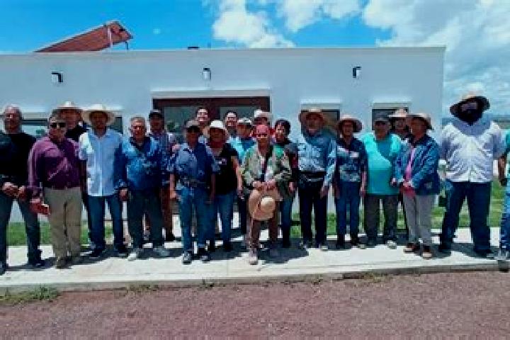 Escorts San Salvador Atenco, Mexico — Local Companions