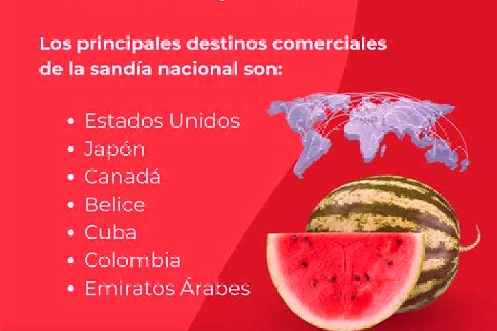 Escorts Sandia, Mexico — Local Companions