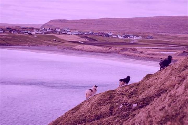 Escorts Sandur, Faroe Islands — Local Companions