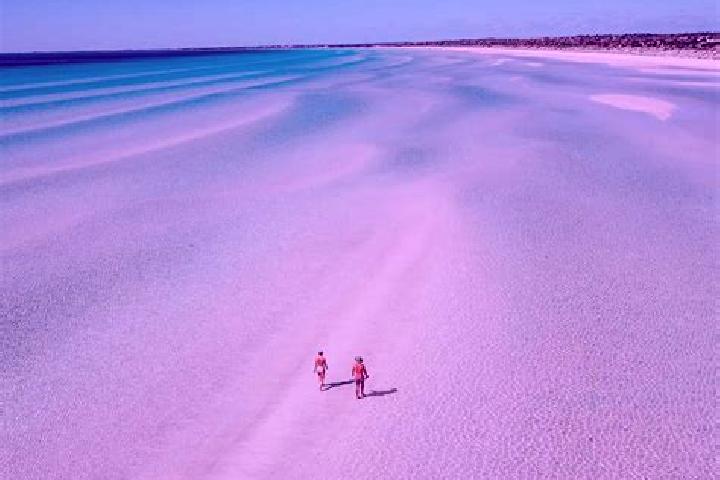 Escorts Sandy Beach, Australia — Local Companions