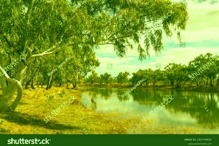 Escorts Sandy Creek, Australia — Local Companions
