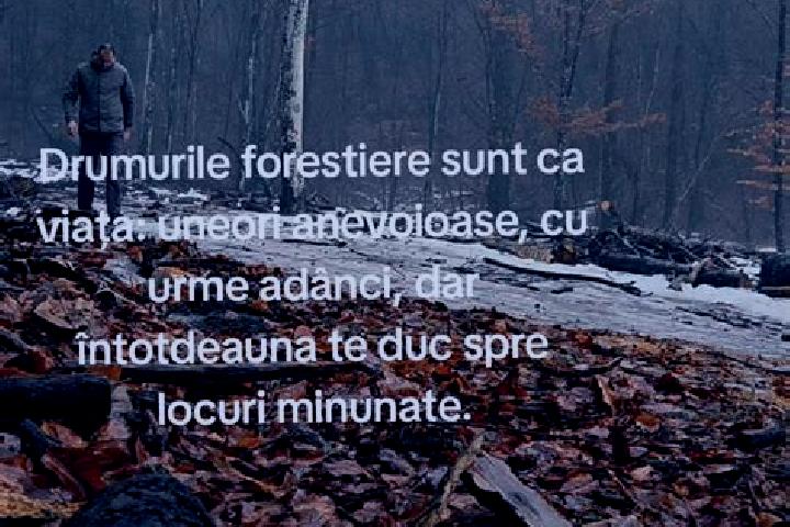 Escorts Sangeorgiu de Padure, Romania — Local Companions