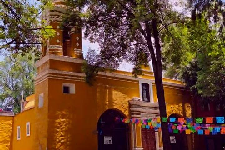 Escorts Santa Catarina, Mexico — Local Companions