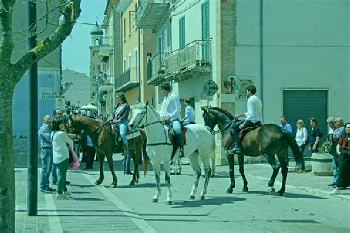 Escorts Santa Croce di Magliano, Italy — Local Companions