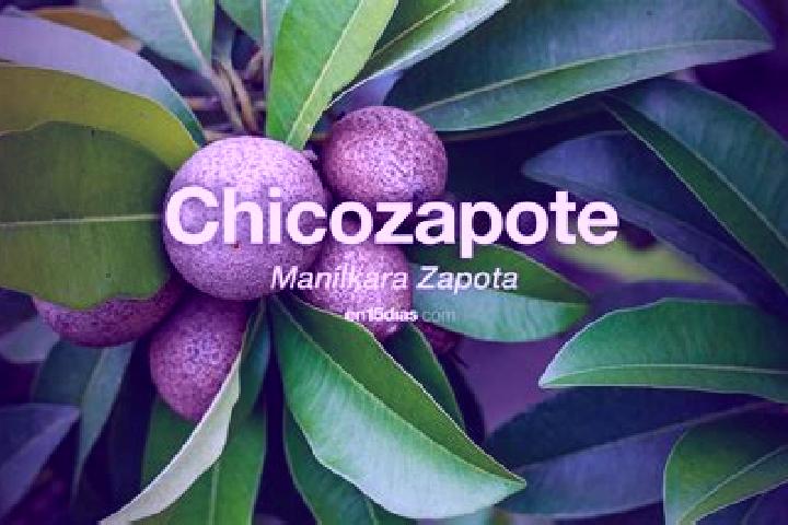 Escorts Santa Maria del Zapote, Mexico — Local Companions