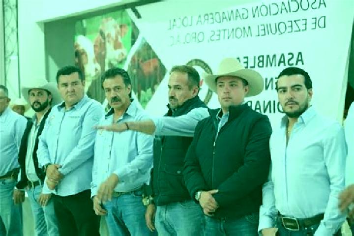 Escorts Santa Maria Huazolotitlan, Mexico — Local Companions