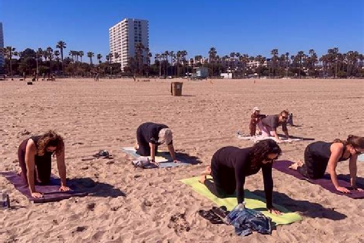 Escorts Santa Monica, United States — Local Companions