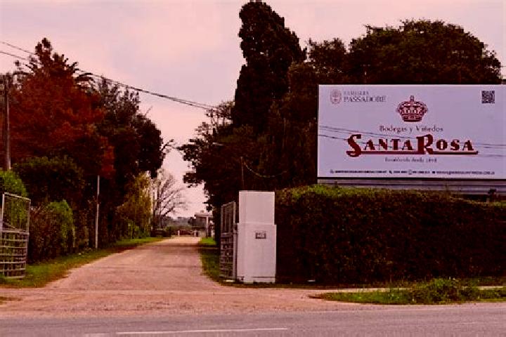 Escorts Santa Rosa, Uruguay — Local Companions