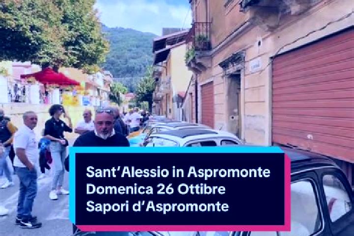Escorts Sant Alessio in Aspromonte, Italy — Local Companions