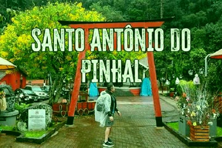 Escorts Santo Antonio do Pinhal, Brazil — Local Companions