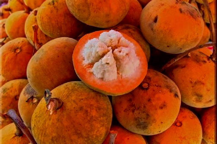 Escorts Santol, Philippines — Local Companions