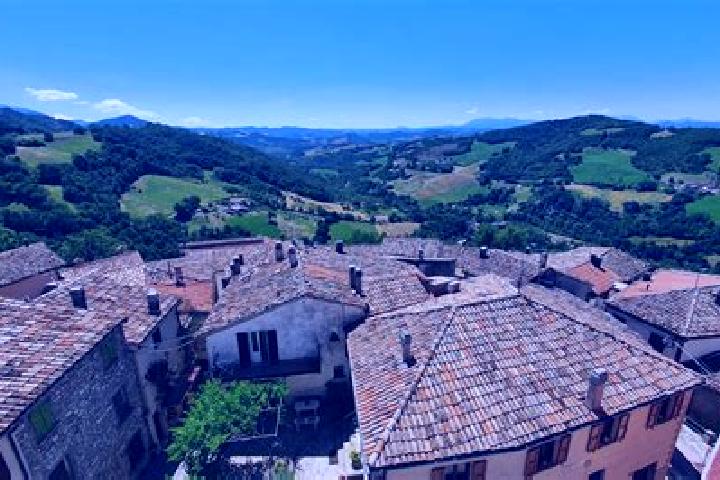 Escorts Sant Orsola Terme, Italy — Local Companions