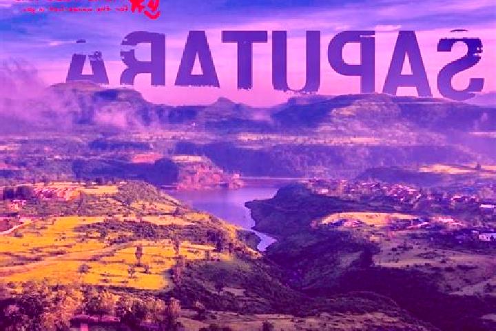 Escorts Saputara, India — Local Companions