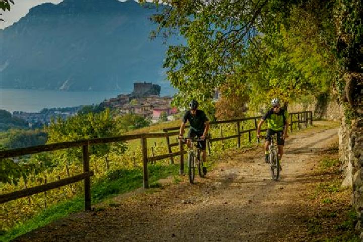 Escorts Sarche, Italy — Local Companions