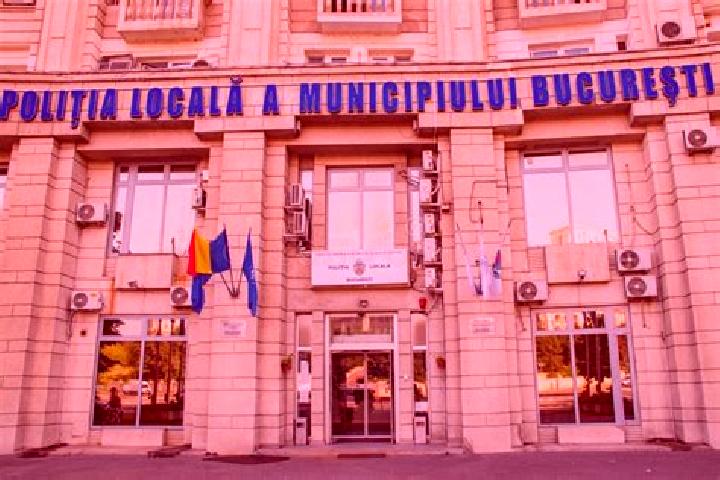 Escorts Sardanesti, Romania — Local Companions