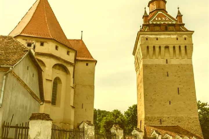 Escorts Saschiz, Romania — Local Companions