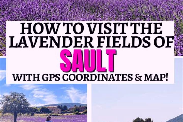 Escorts Sault, France — Local Companions