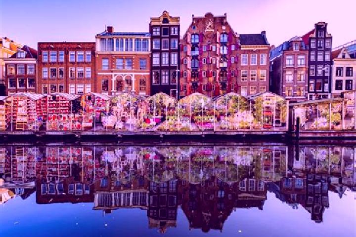 Escorts Sauwerd, Netherlands — Local Companions