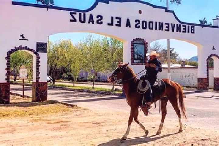 Escorts Sauz de Calera, Mexico — Local Companions