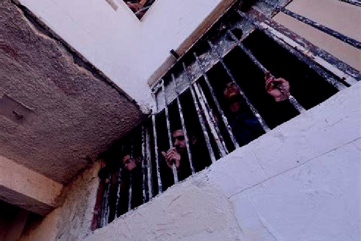 Escorts Saydnaya, Syria — Local Companions