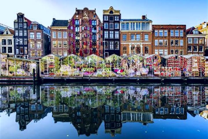 Escorts Schalkwijk, Netherlands — Local Companions