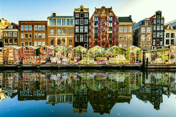 Escorts Scharn, Netherlands — Local Companions