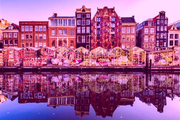 Escorts Scharsterbrug, Netherlands — Local Companions