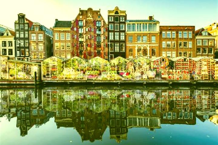 Escorts Scheemda, Netherlands — Local Companions