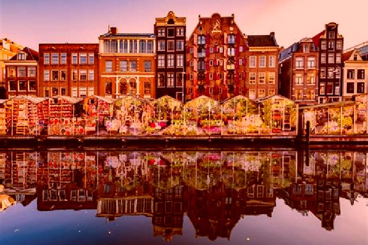 Escorts Scheveningen, Netherlands — Local Companions