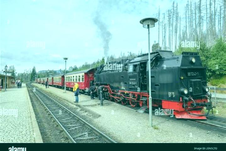 Escorts Schierke, Germany — Local Companions