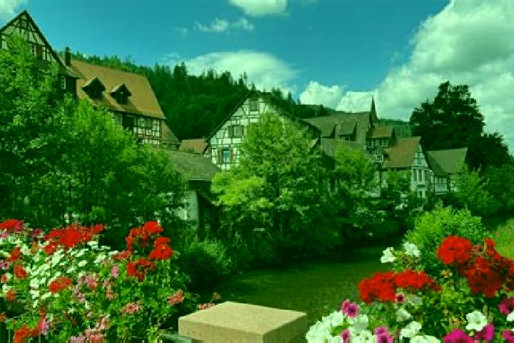 Escorts Schiltach, Germany — Local Companions
