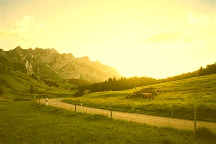 Escorts Schoetz, Switzerland — Local Companions