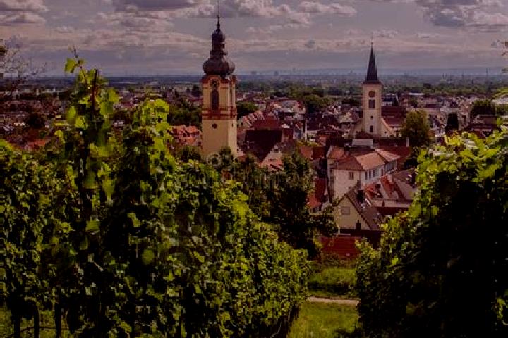 Escorts Schriesheim, Germany — Local Companions