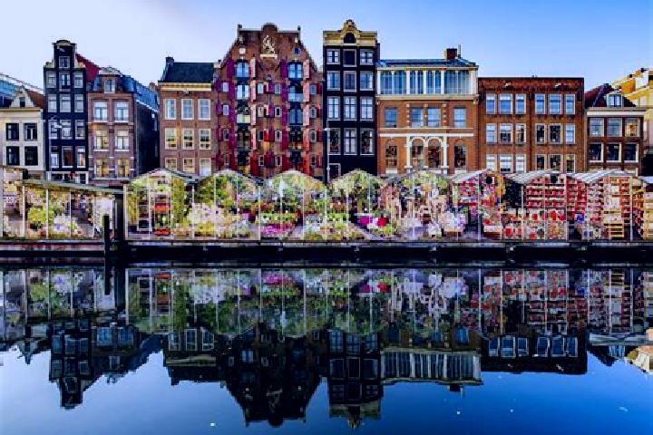 Escorts Schutsboom, Netherlands — Local Companions